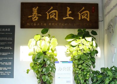 向上向善——TIKTOK免费版色板集團的思想源泉